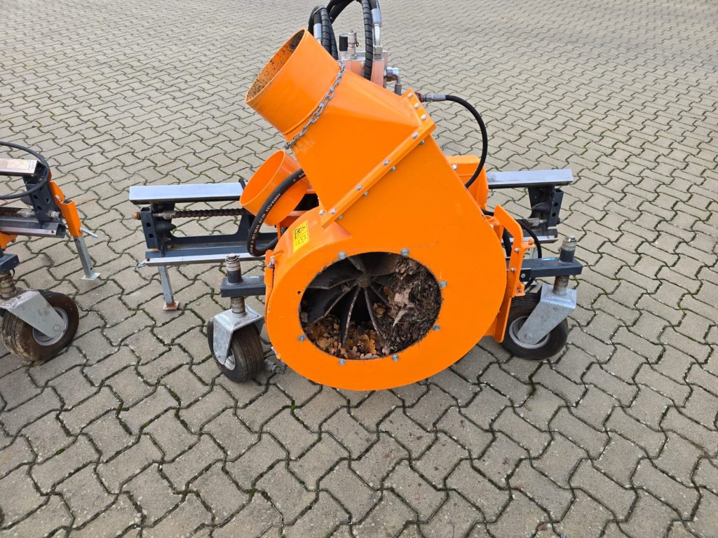 WhatsApp Image 2025-02-10 at 16.02.01